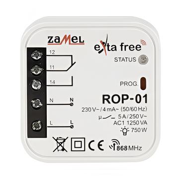 ROP01.jpg